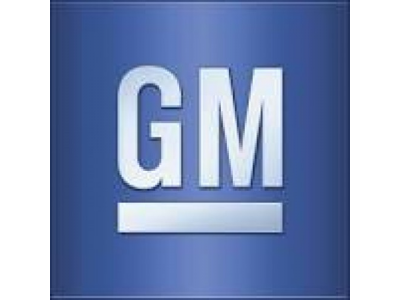 GM Смазка консистентная шасси