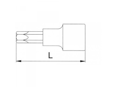 Головка торцевая с вставкой torx 1/2" T55 L=100мм